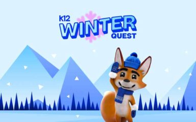 Strider the fox Winter