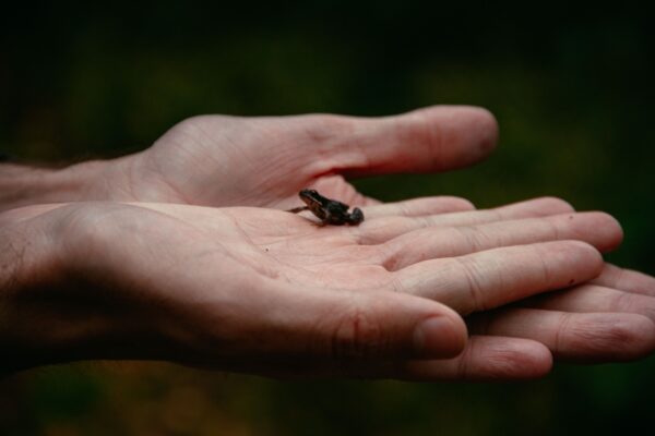 Herpetology Club